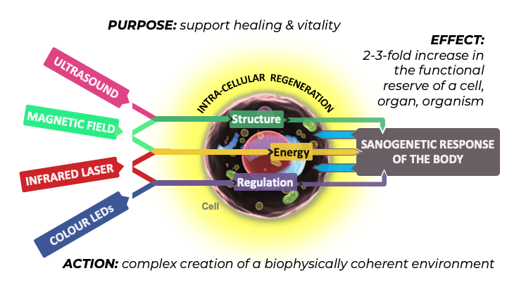 Four radiances & cellular actions